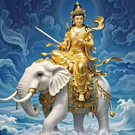 阿罗海