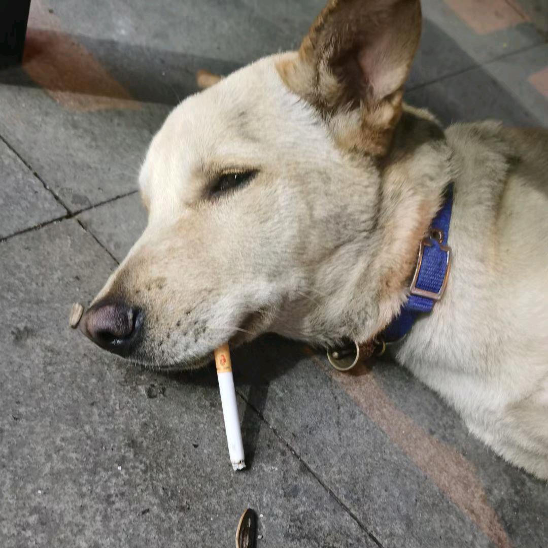 七进七出