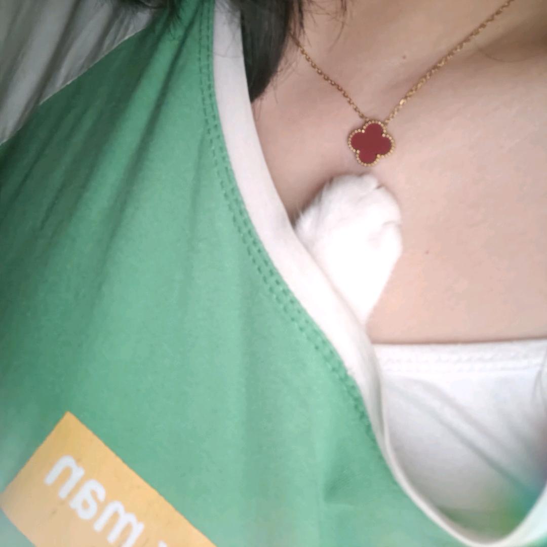 爱吃鱼鱼的猫🐈