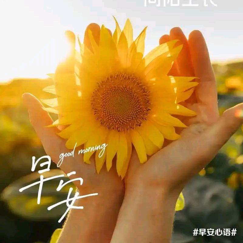 炎曦