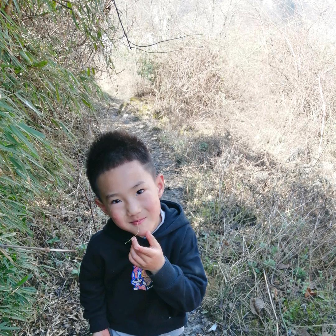 春天花开