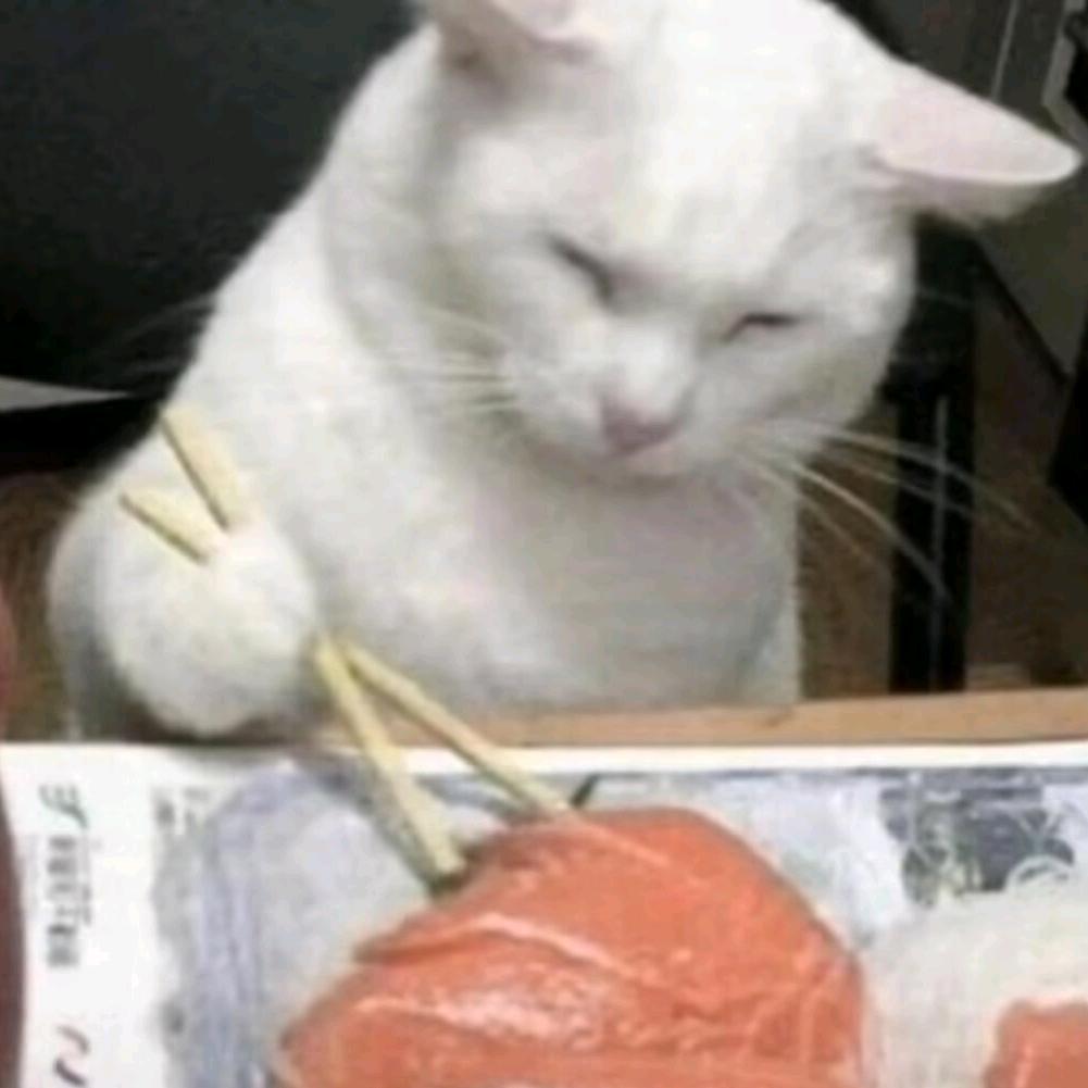 言雀