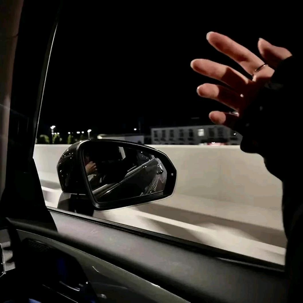 ༺故作༓坚强༻