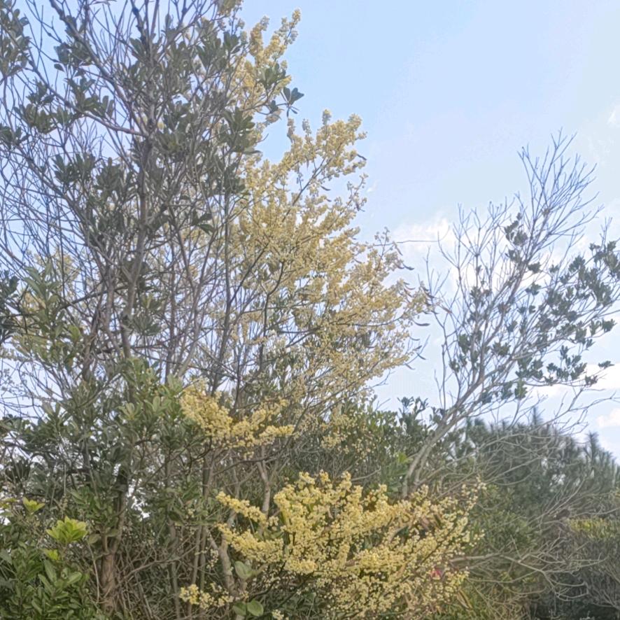 蓝天白云仰望天空。