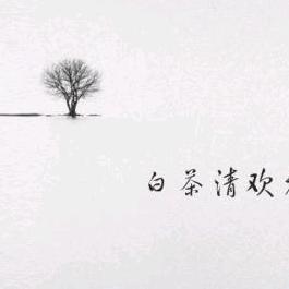 白茶清欢￴ ￴ ￴￴￴  ￴ ￴￴
