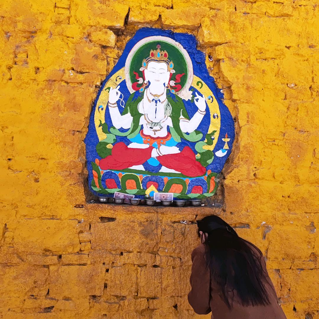 丁真😊卓玛🌿🌴