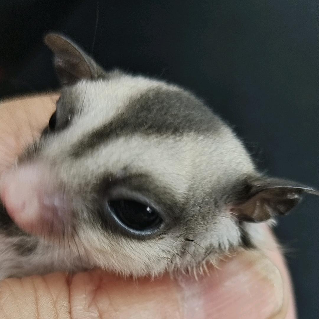 静守安然