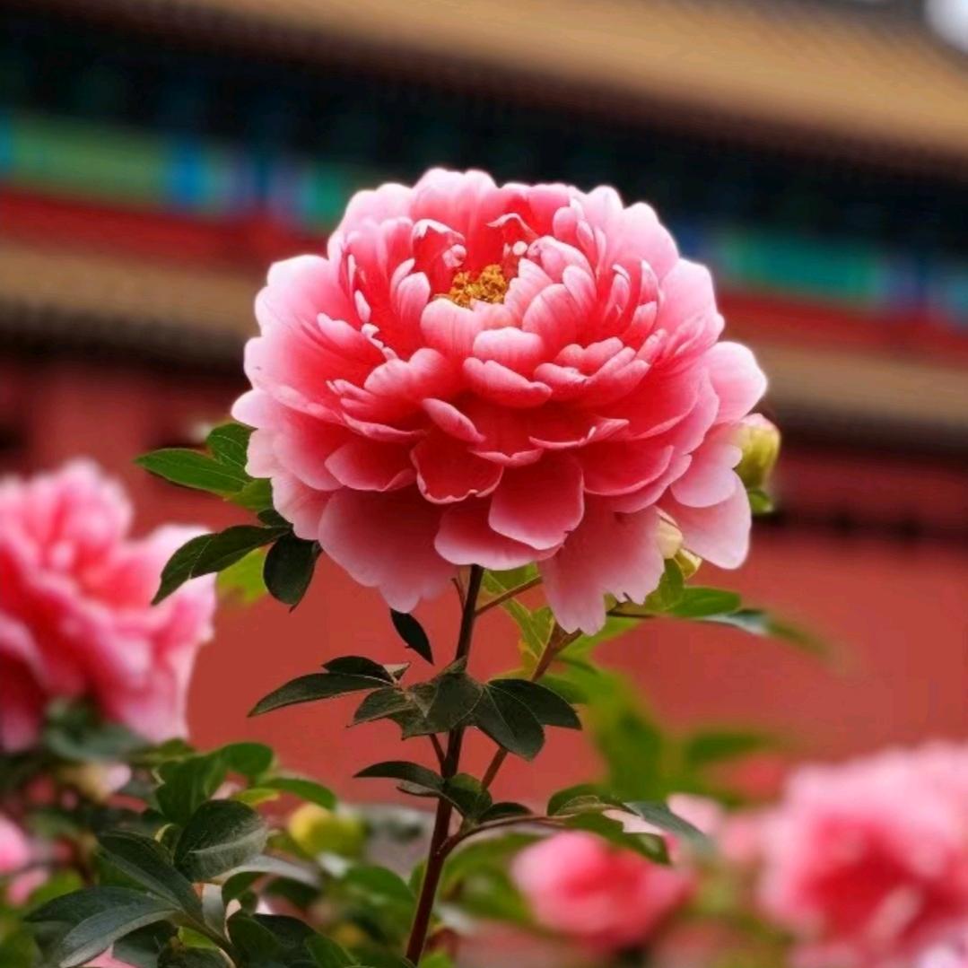 小彬服装好物