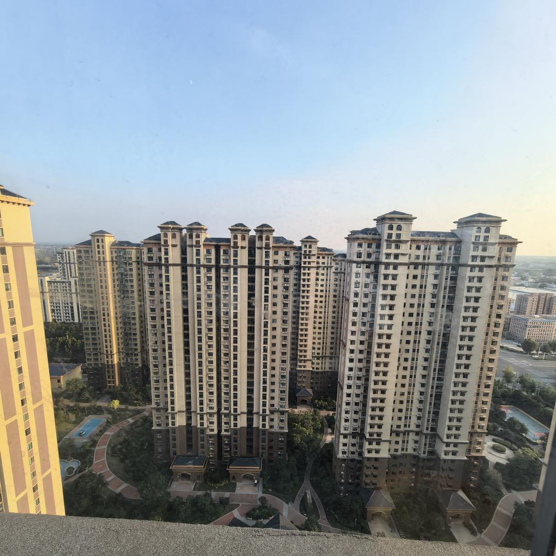 金子 🇨🇳