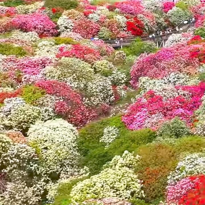用户8556628612958
