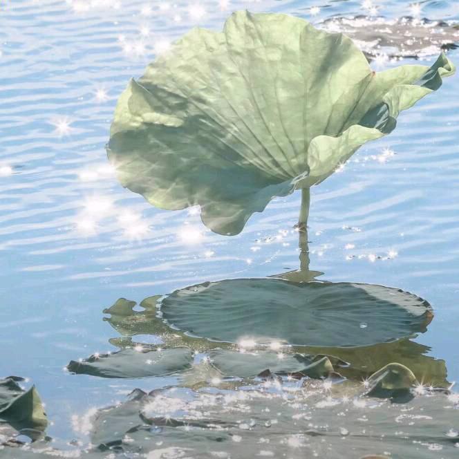 ₍˄·͈༝·͈˄₎◞ ̑̑