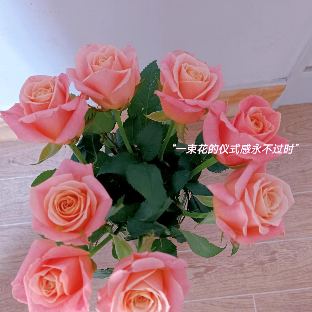 瓜果蔬菜全都要