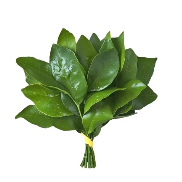 果果衣柜