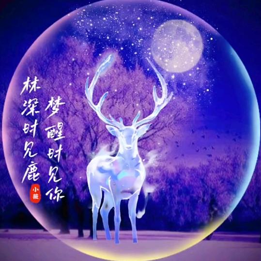 ꧁༺ཊ࿈醉醒啦࿈ཏ༻꧂