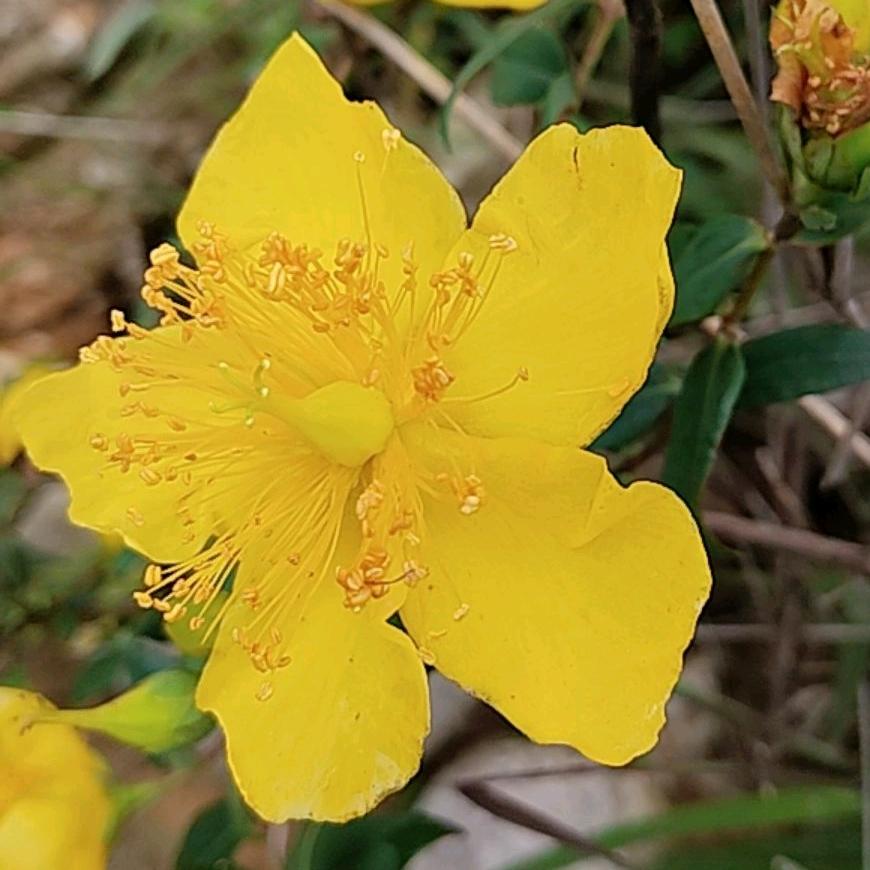 我只希望我的家人平平安安 健健康康