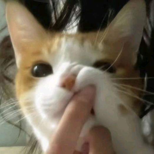 雾霭
