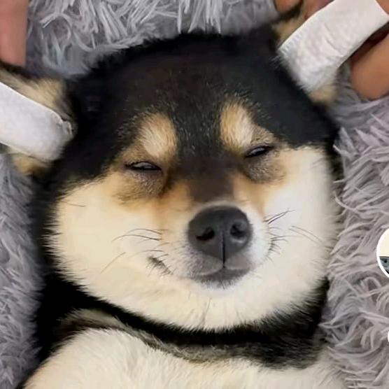 神明哥哥