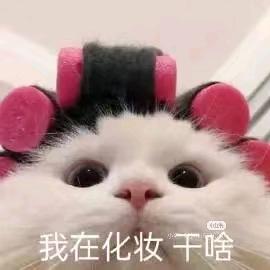 紅炉点雪（成都长期接妆）