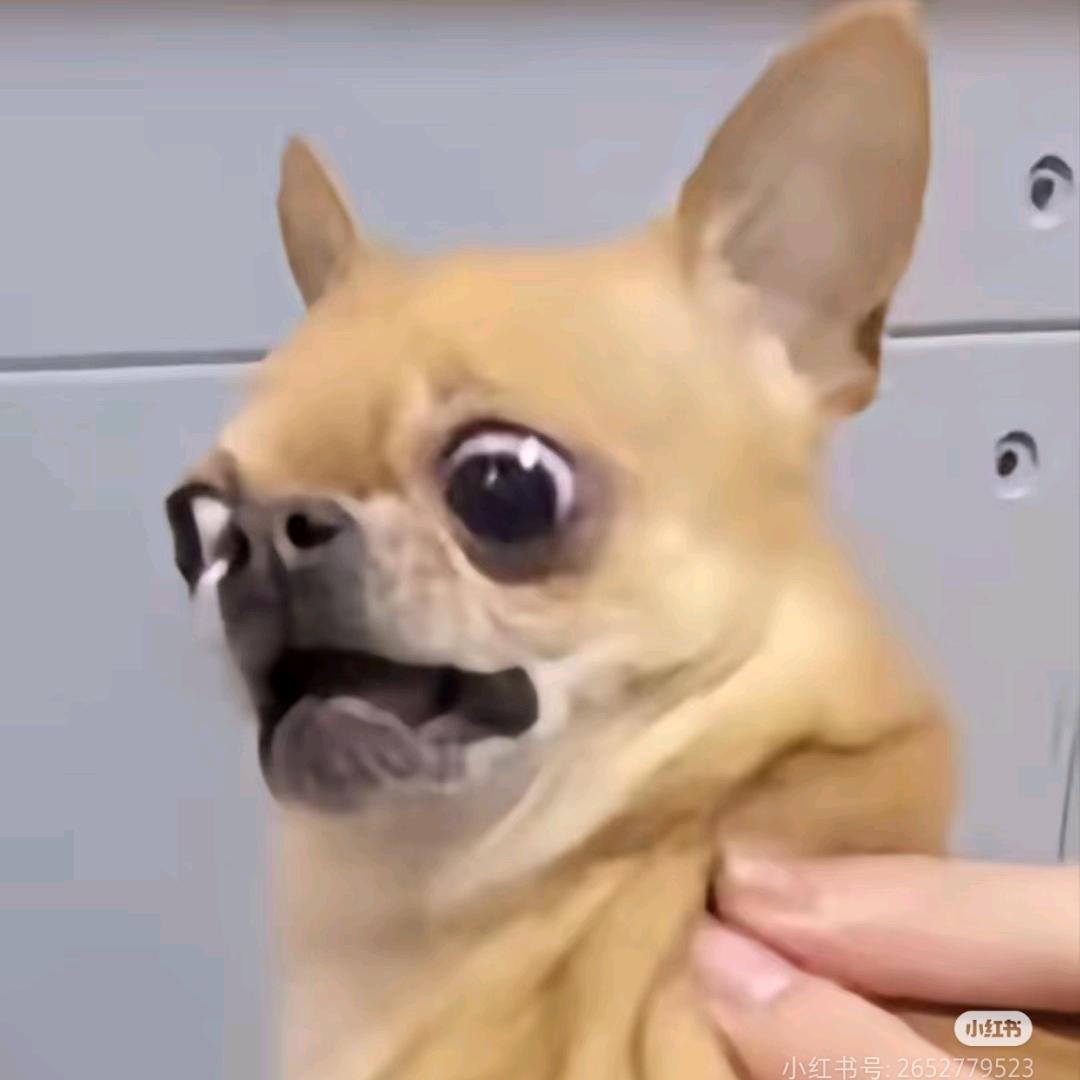 谢尔迈