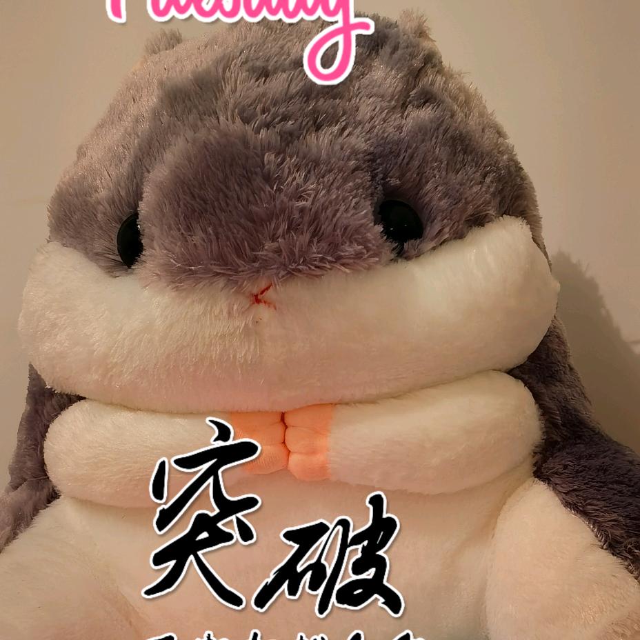 ໑ຼₒ₂4ღ᭄仓鼠🕊꧔ꦿ᭄