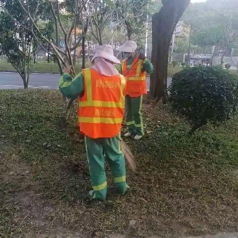大潮中学初三班主任数学杨老师