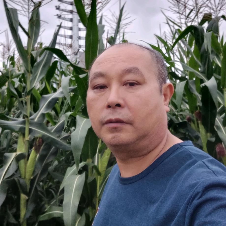 农民哥