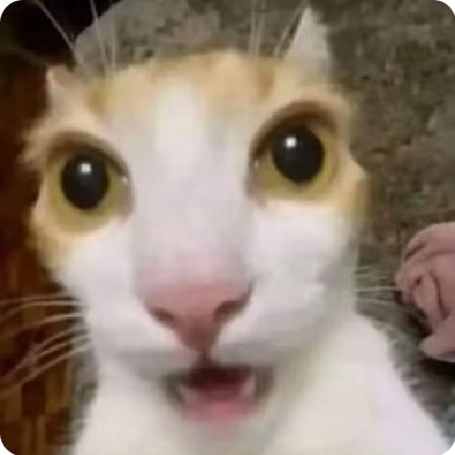 翠楼屋゚゚゚゚゚