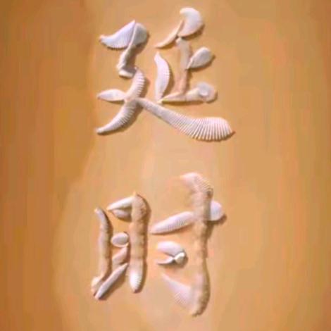 丽姐在江门
