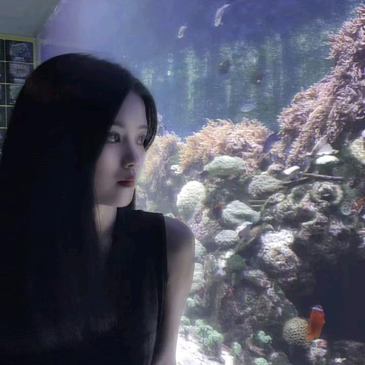 小楠宝