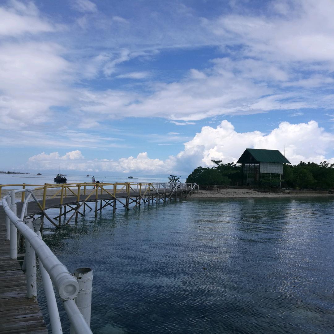 虢虢