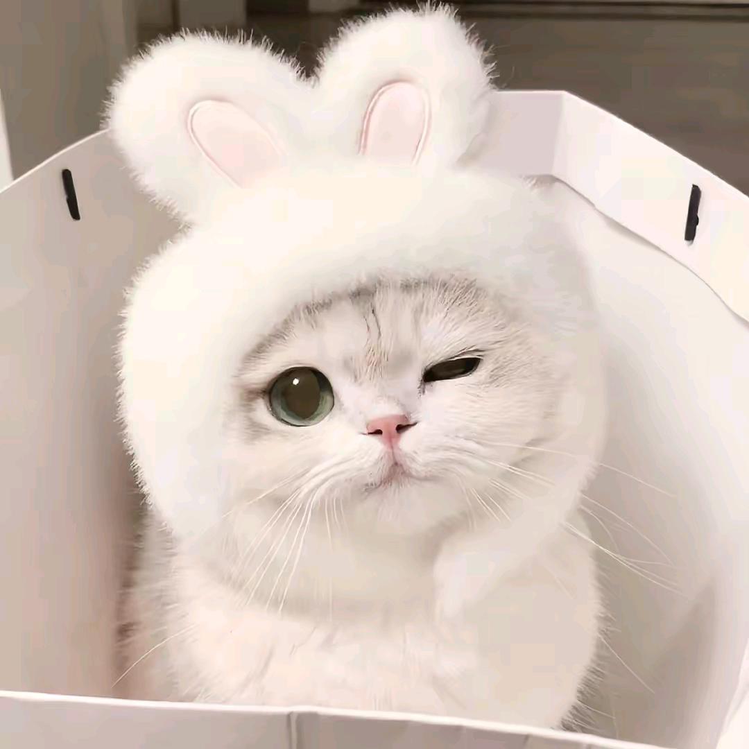 You 哈哈