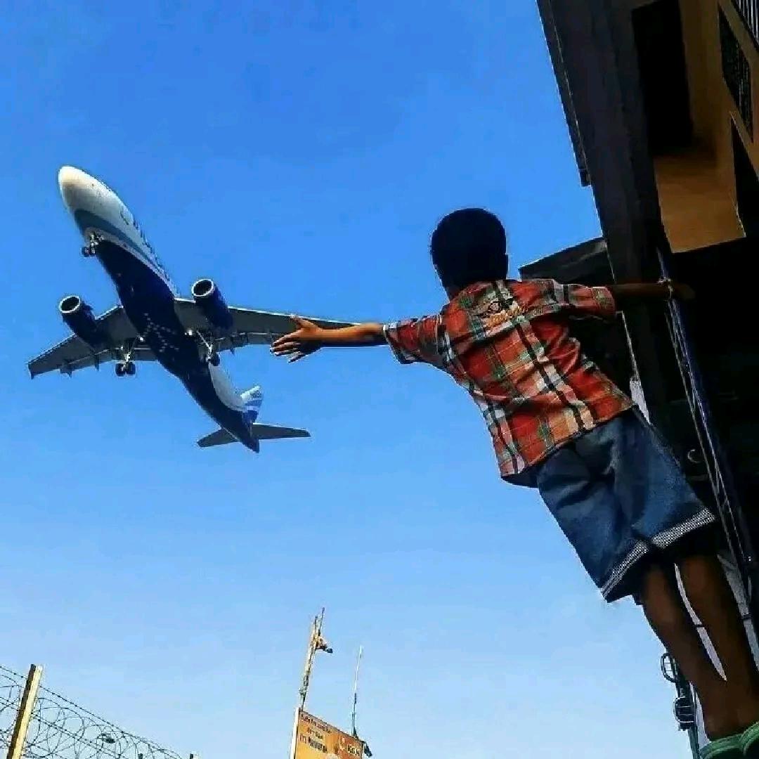 给趣多多数巧克力豆