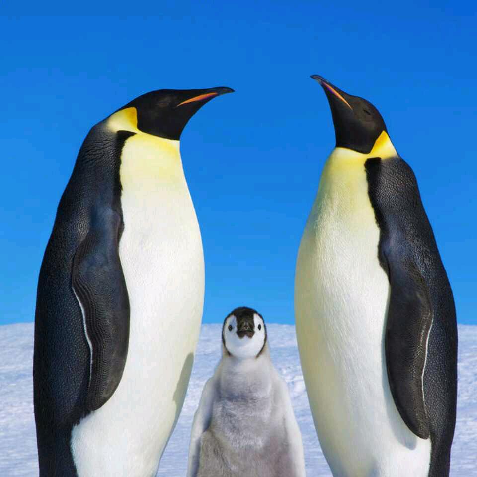 人生靠自己❤️爱拼才会赢