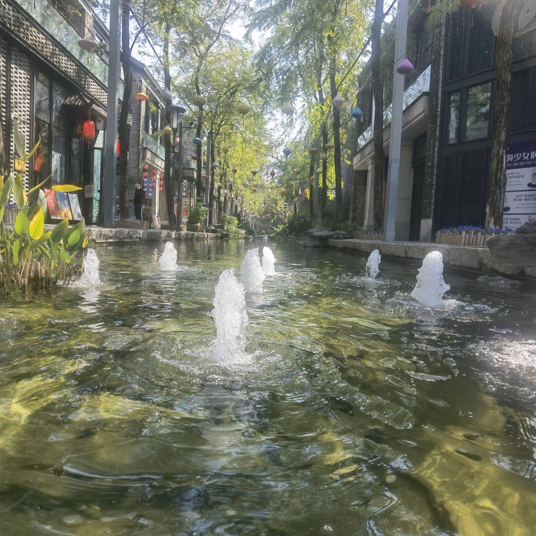 人生苦短及时行乐
