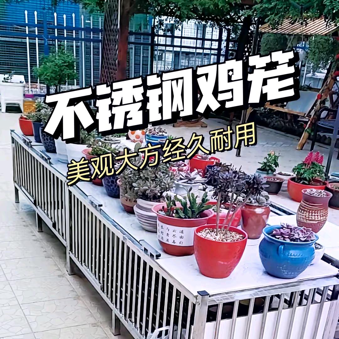 卖鸡笼的小菇凉