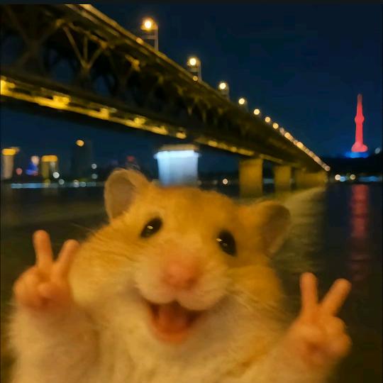 孬蛋儿