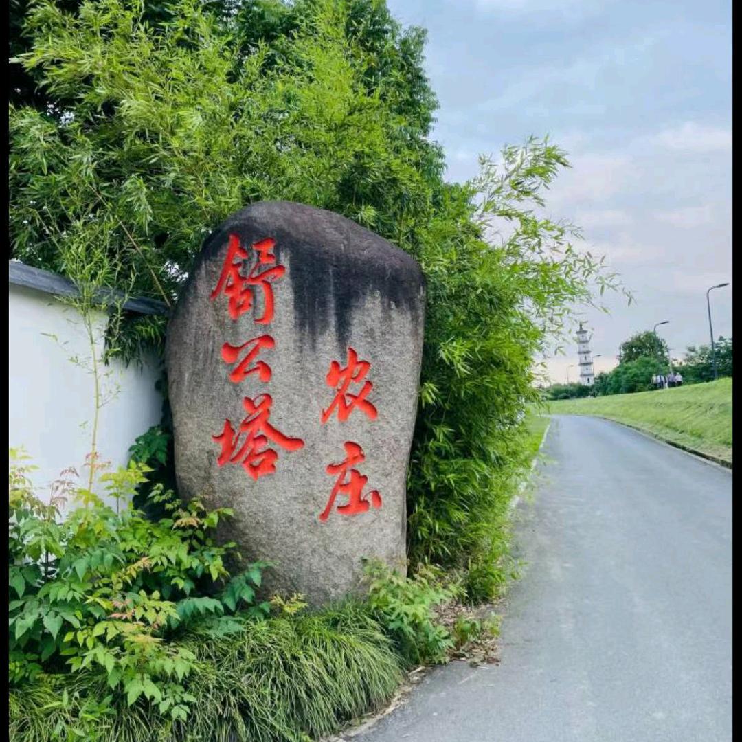 舒公塔农庄