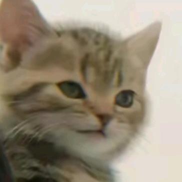 笑..