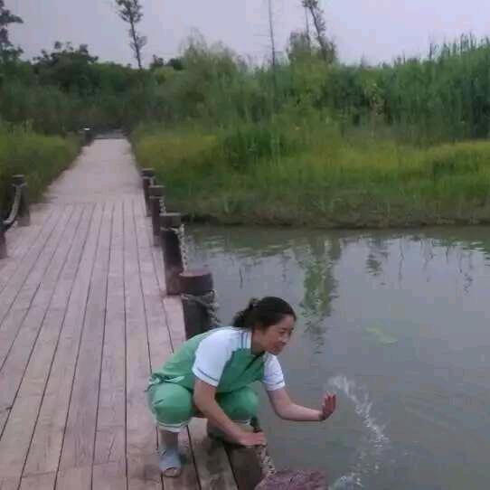 火龙果