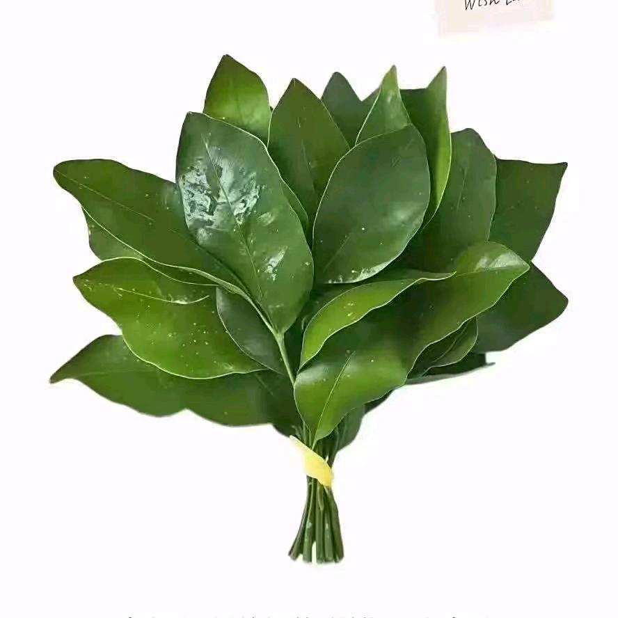 阿鑫鑫鑫鑫鑫🌴🌴824