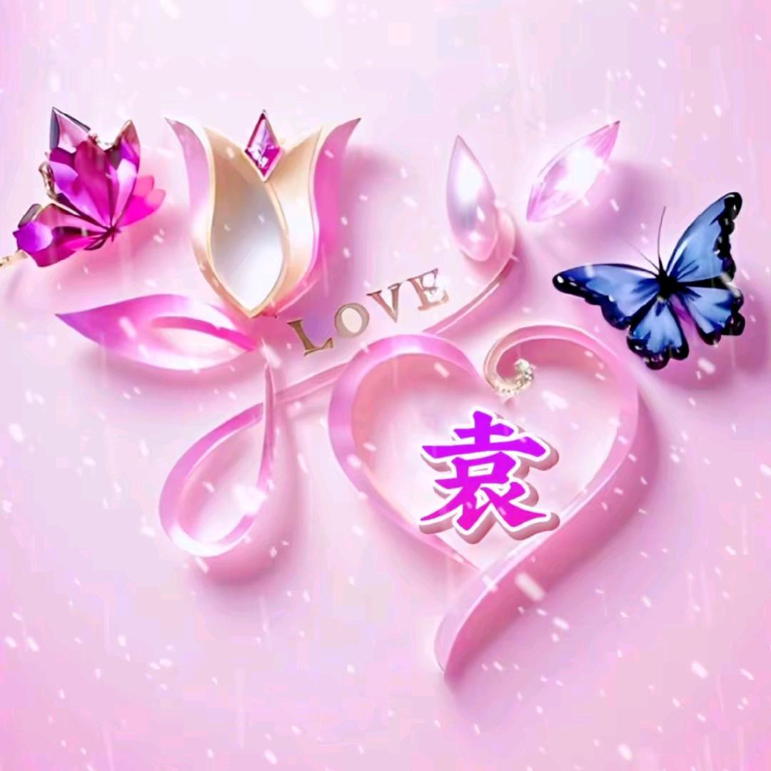 龙姐姐