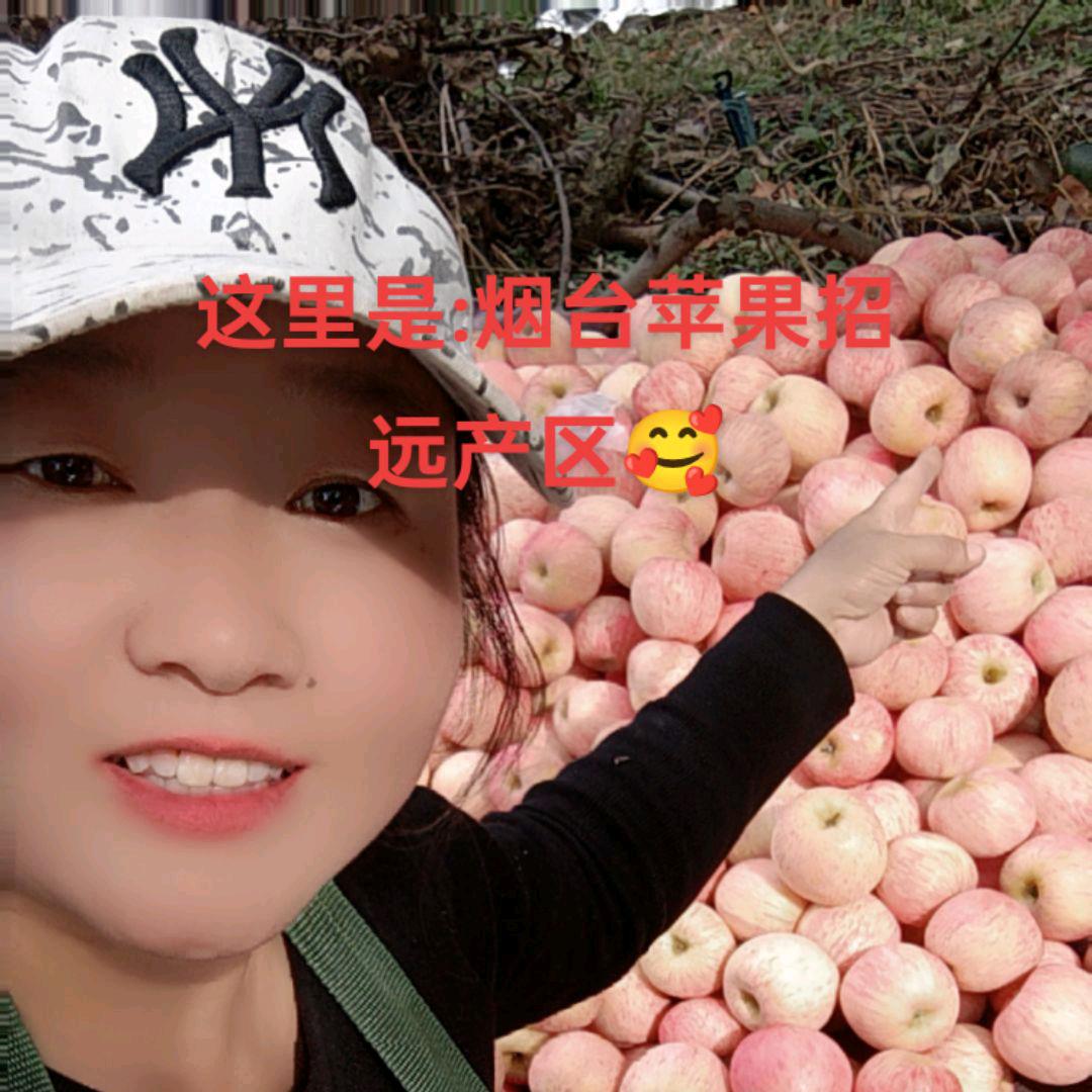 烟台果农，小燕子