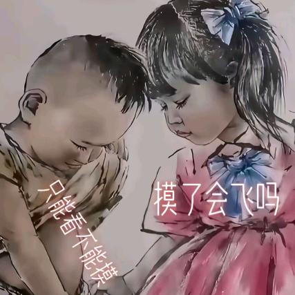 从白嫖哥到贰毛哥