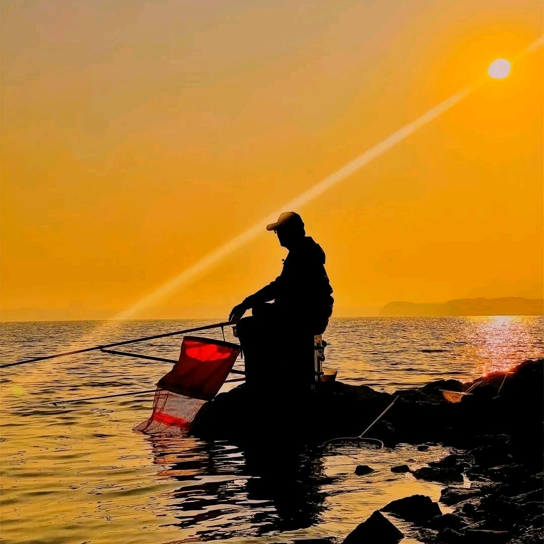 🌞大鲫大鲤🌙