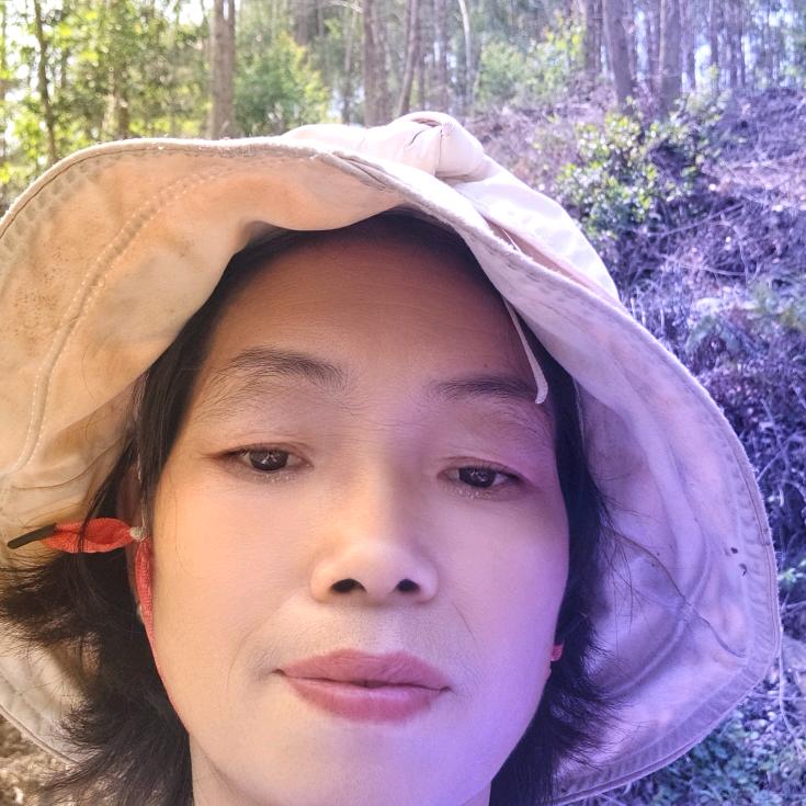 高效