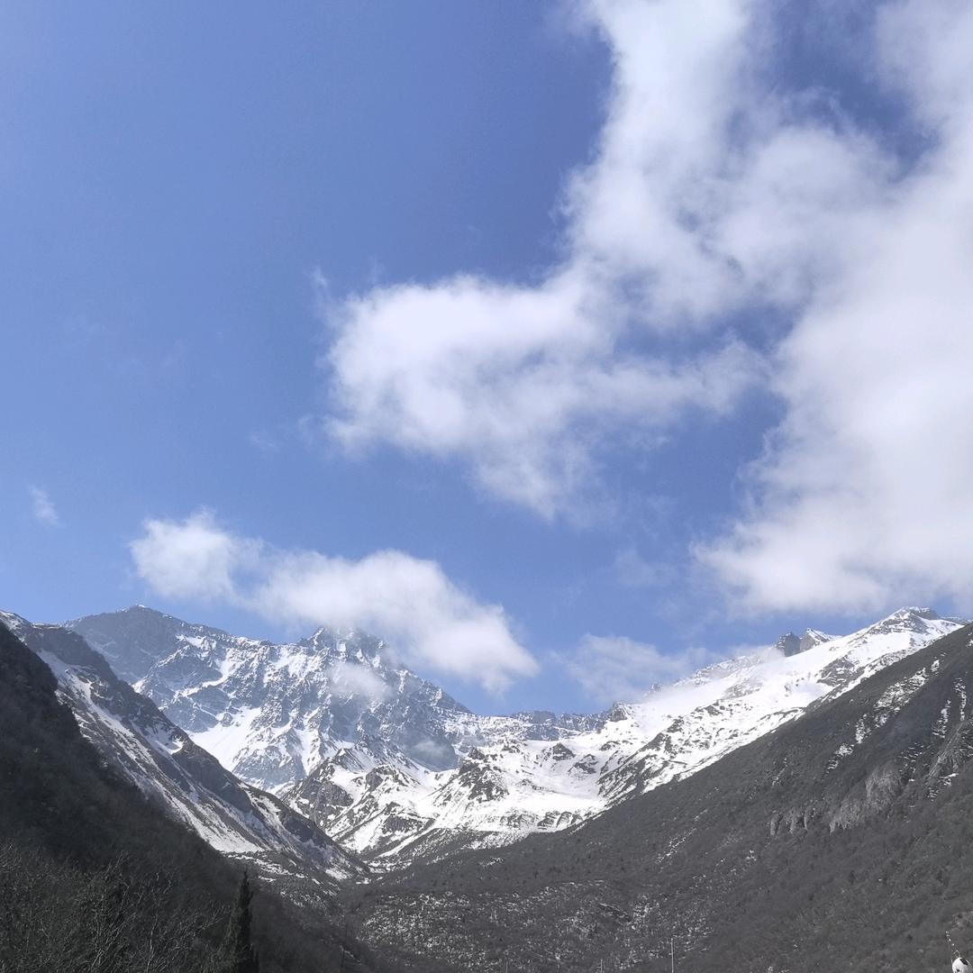 小天哥