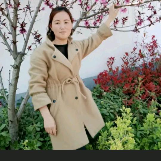 衡家的姑娘王家的媳妇