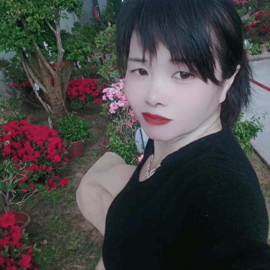 快乐莲