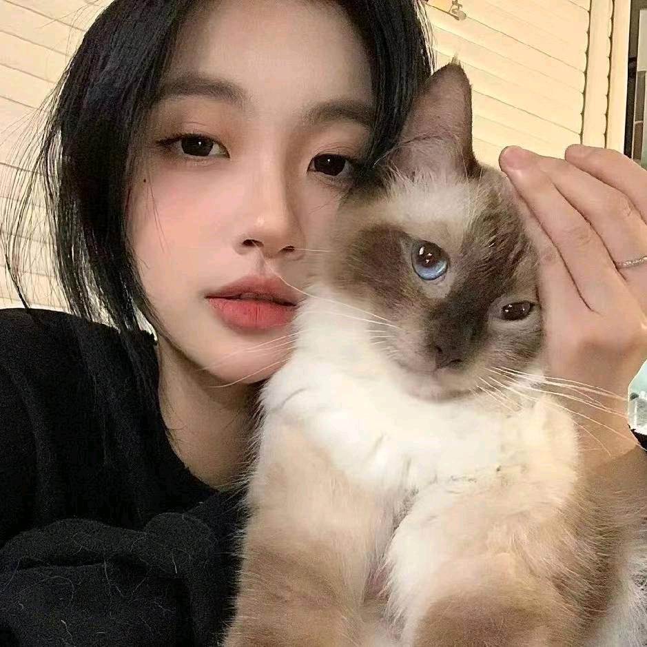 豆芽吖