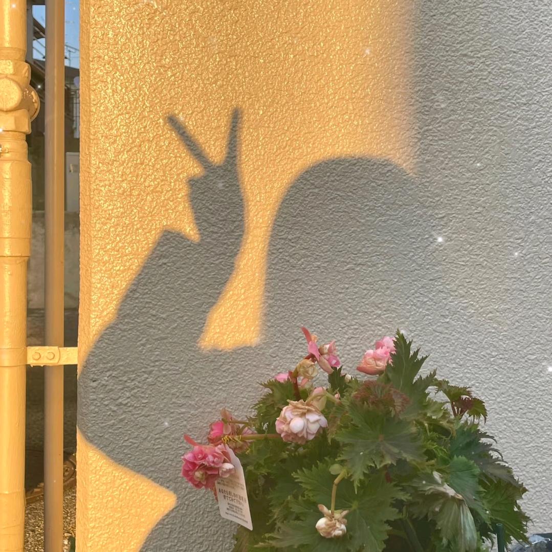 周末(づ ●─● )づ